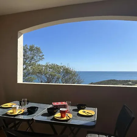 Appartement Moderne Avec Vue Mer, Parking Et Wi-fi - Fr-1-225c-167 Banyuls-sur-Mer